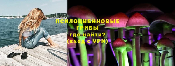 спиды Горно-Алтайск