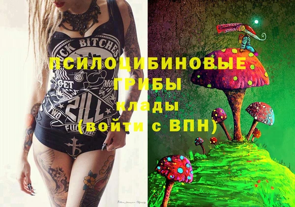MDMA Горнозаводск
