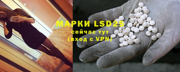 a pvp Гусев