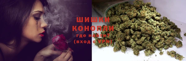 спиды Горно-Алтайск