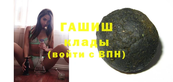 шишки Горняк