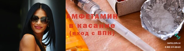 шишки Горняк