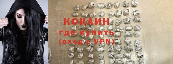 шишки Горняк