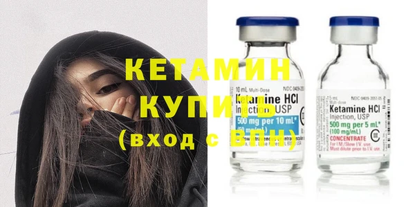 шишки Горняк