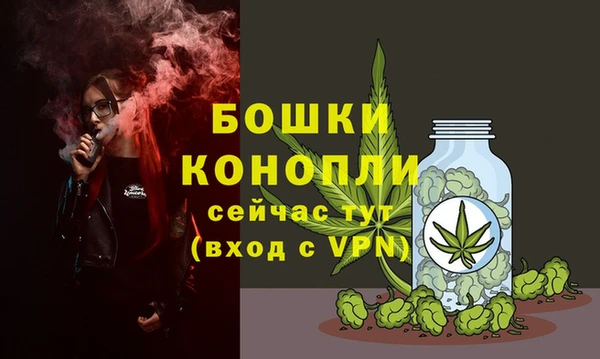 шишки Горняк